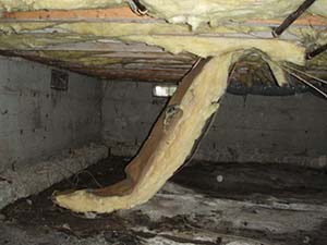 Damp Crawl Space With Wet Insulation