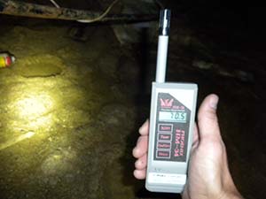 Crawl Space High Humidity Level
